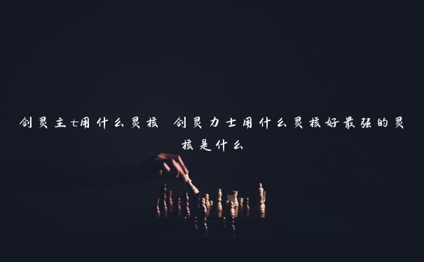 剑灵主t用什么灵核 剑灵力士用什么灵核好最强的灵核是什么